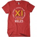 Wales Grand Slam 2012 t shirt