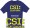 Custom print your own CSI tshirt